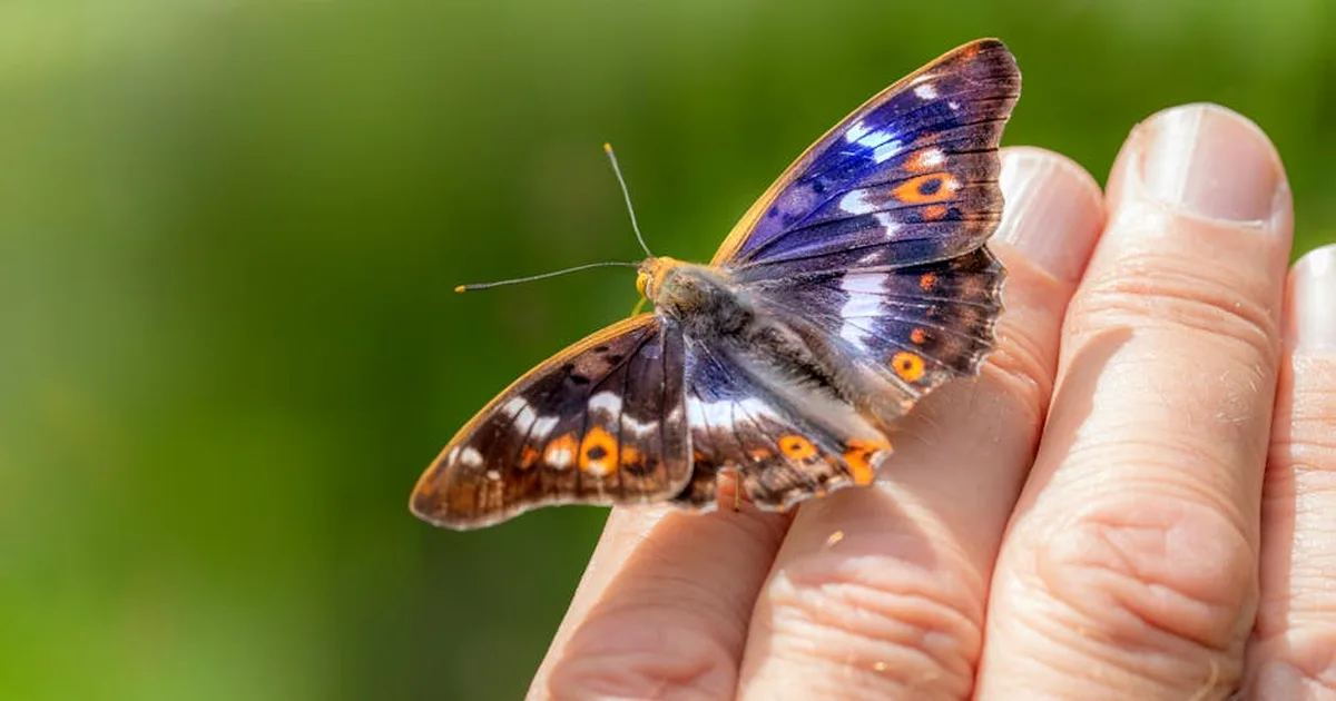 Lupus: señales de alerta, mitos y el consuelo de la fe