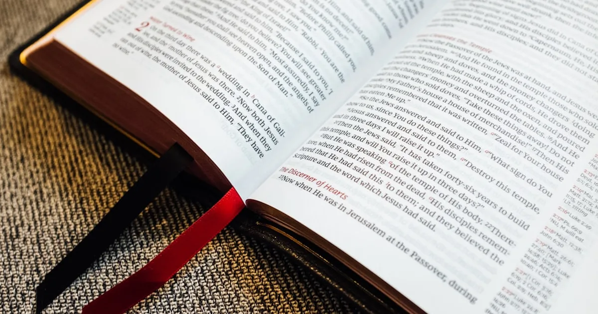 Animales en la Biblia: cómo amarlos y cuidarlos como cristianos
