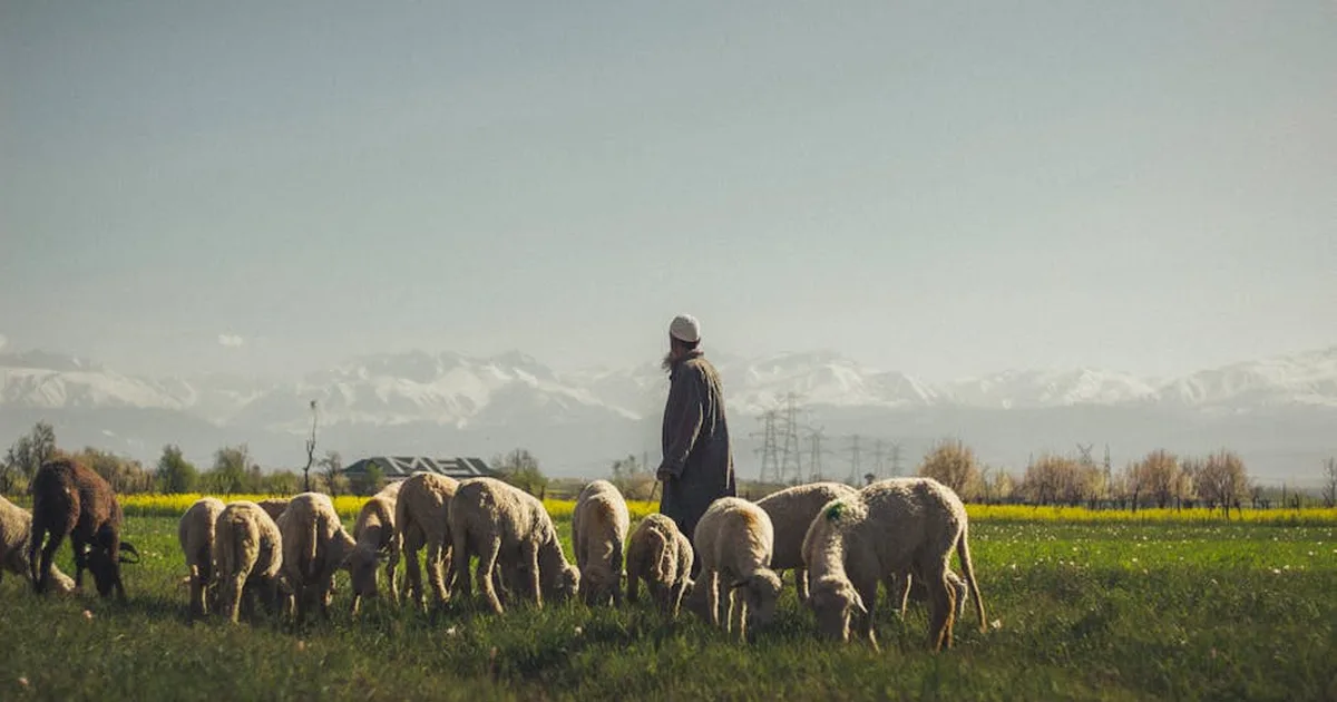 Following the Good Shepherd in Daily Life