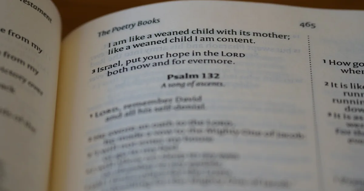 Psalm 91: A Family Prayer for Divine Protection at Home