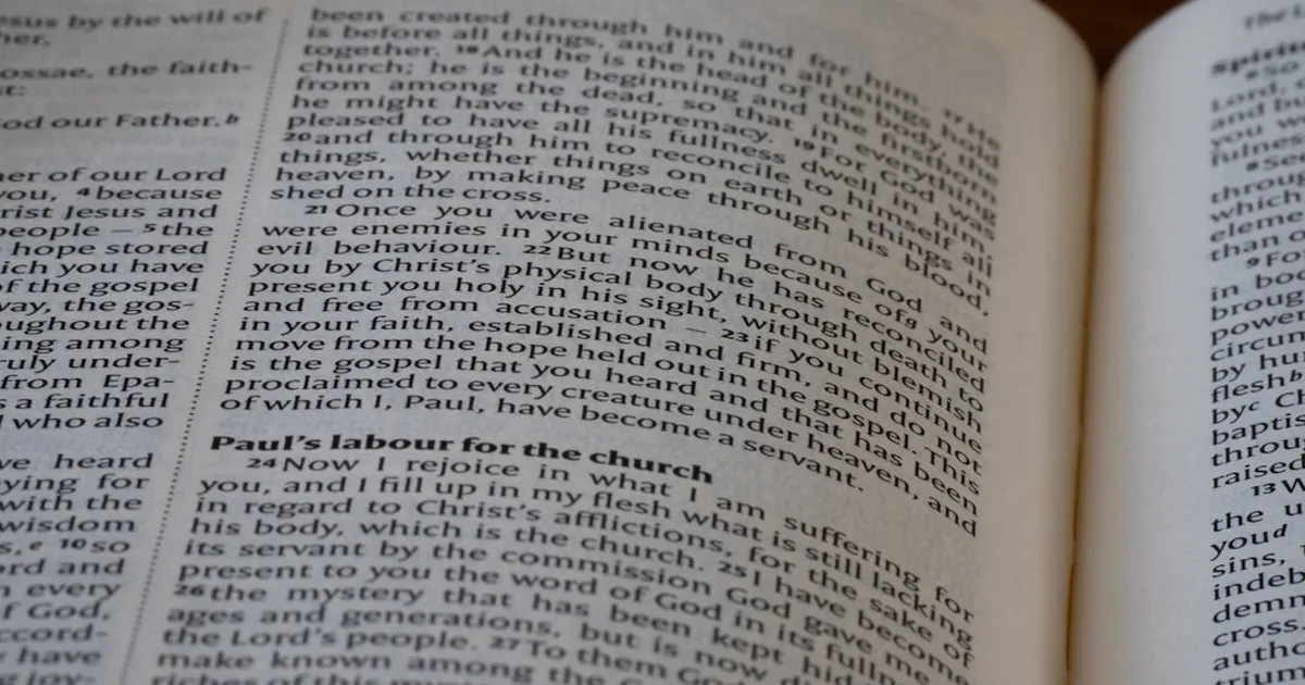 Fe y política: Cómo vivir nuestros valores cristianos en la vida pública