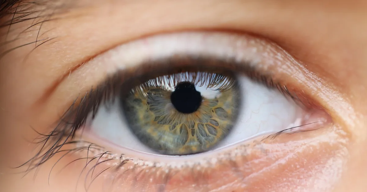 Significado bíblico de visión: cómo Dios guía tu camino