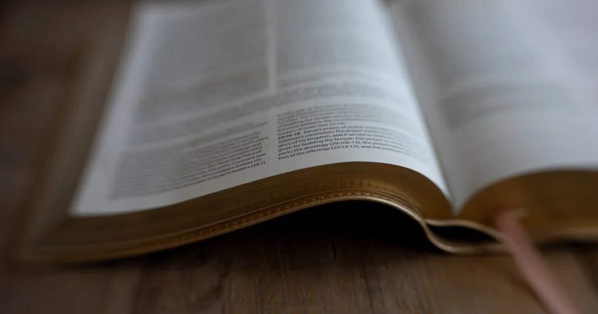 Teologia Bíblica no Dia a Dia: Como Ligar o Antigo e o Novo Testamento