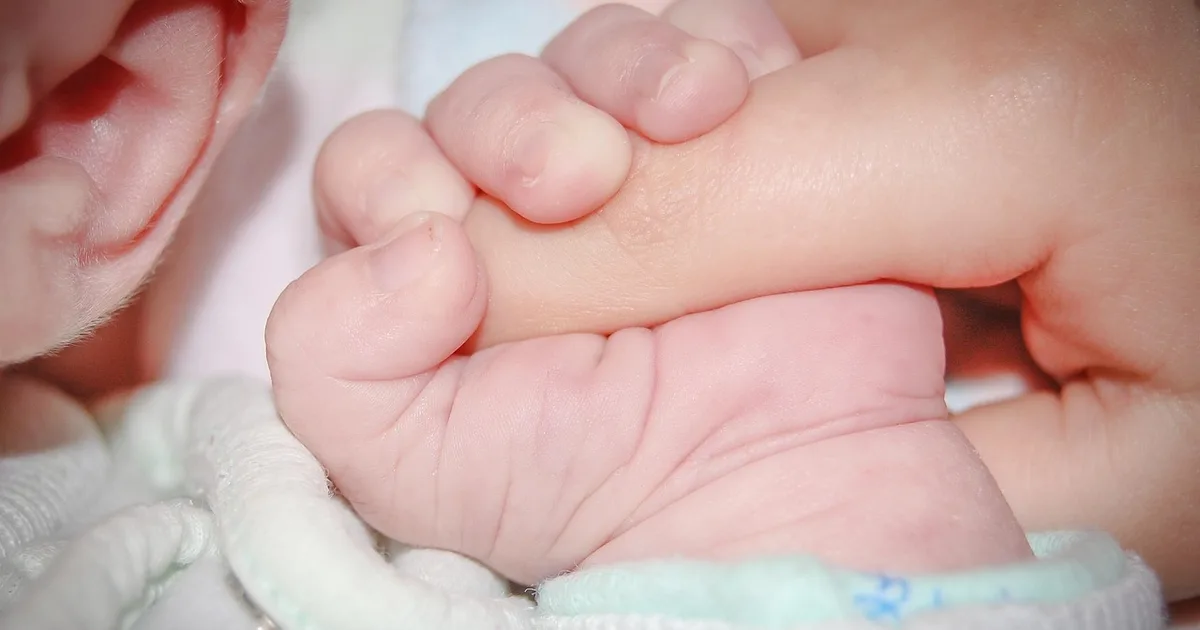 Salette Ferreira: Una nueva guía para las familias en Canção Nova