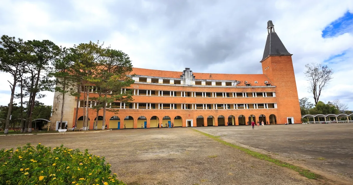 Rooted in Wisdom: Pope Leo XIV's Vision for Education as Lifegiving Service