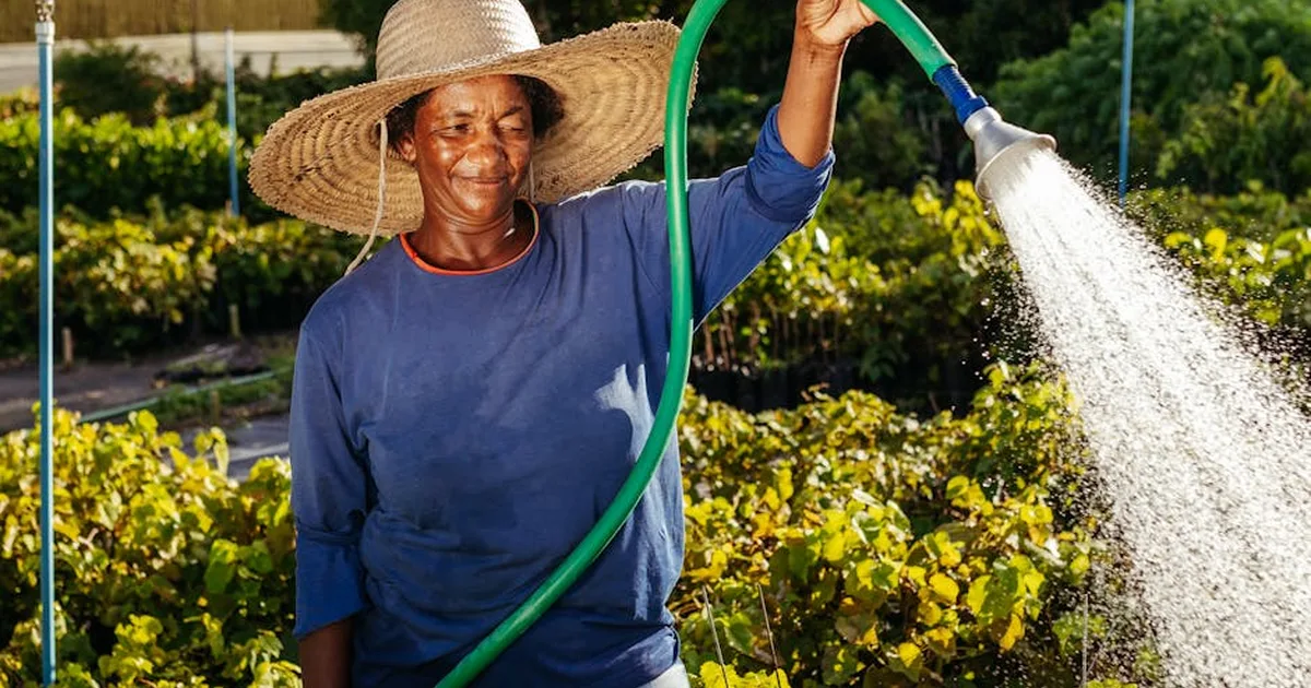 Cuidando da Casa Comum: Nossa Missão como Jardineiros de Deus