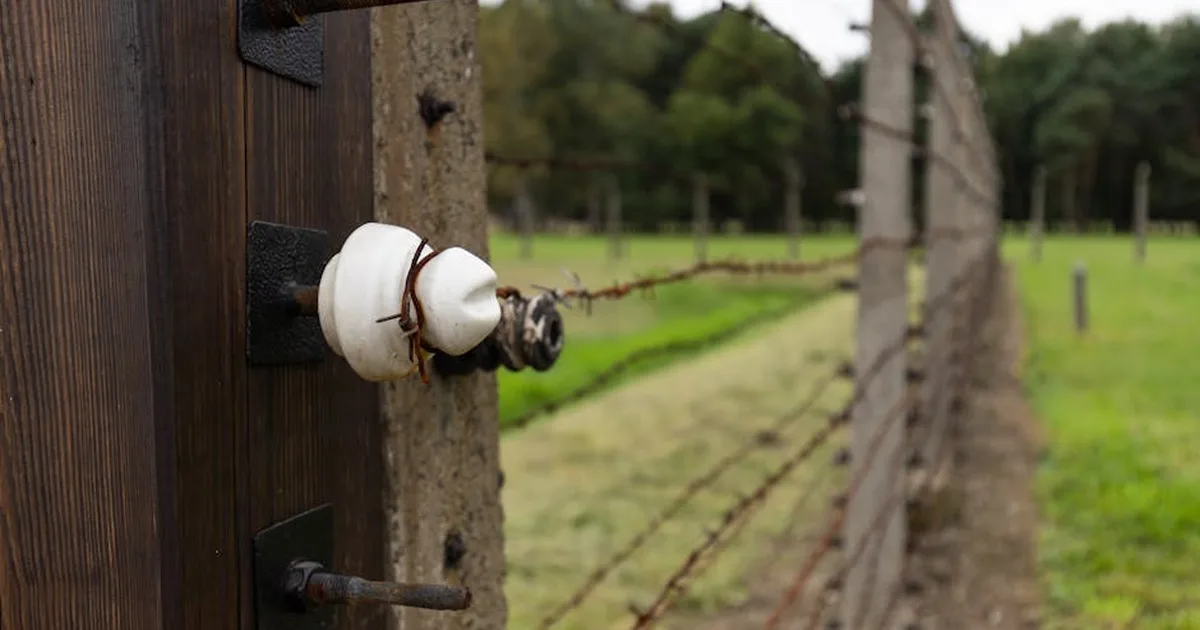San Maximiliano Kolbe: el mártir de la caridad en Auschwitz