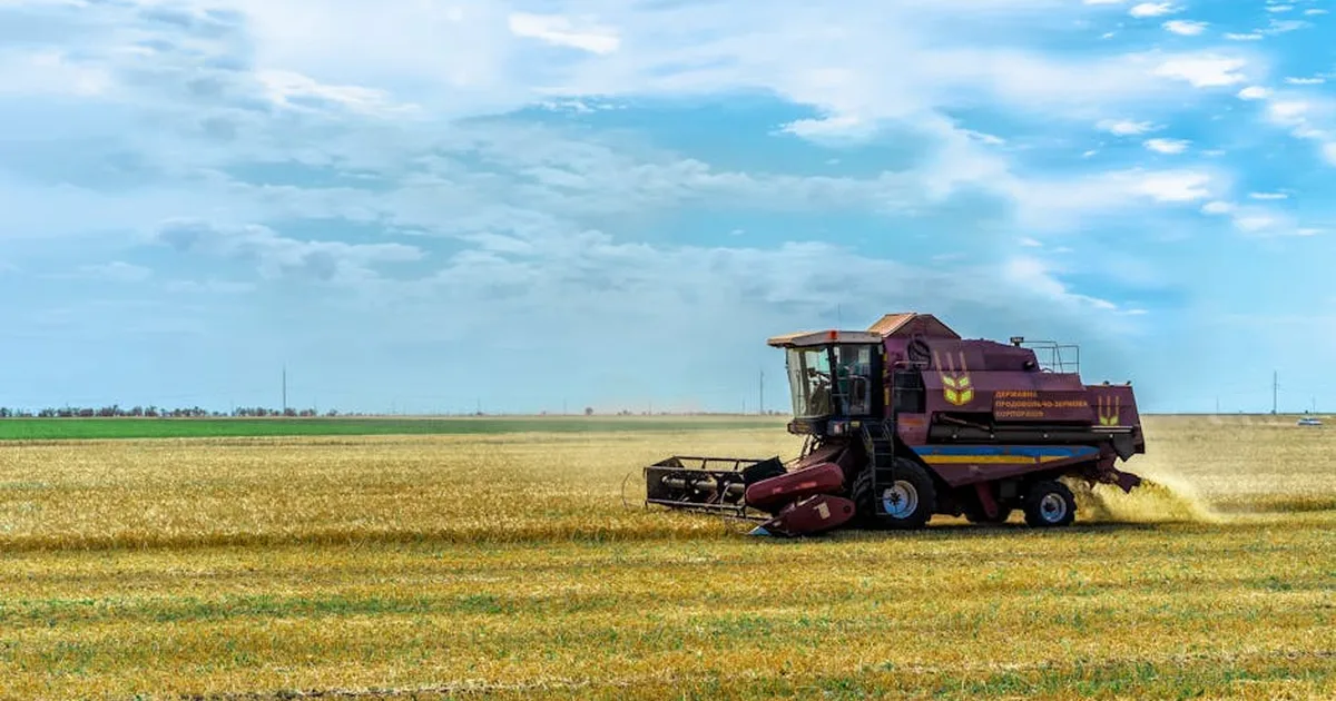 Raccolto di Fraternità: Un Agricoltore del Mississippi Accoglie Rifugiati Ucraini