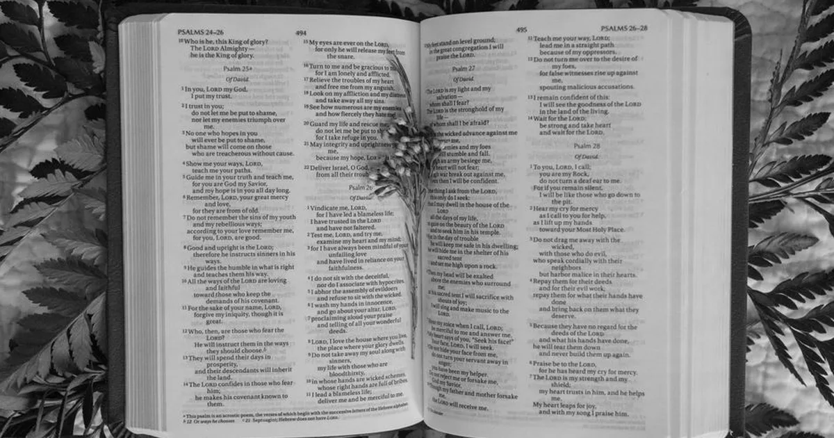 Guía Completa de los Salmos para Católicos: Oración y Alabanza