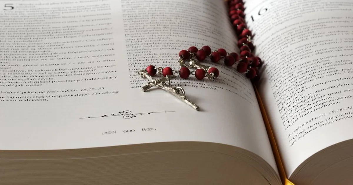 A Bíblia Católica: Um Guia Completo para Ler e Compreender as Escrituras