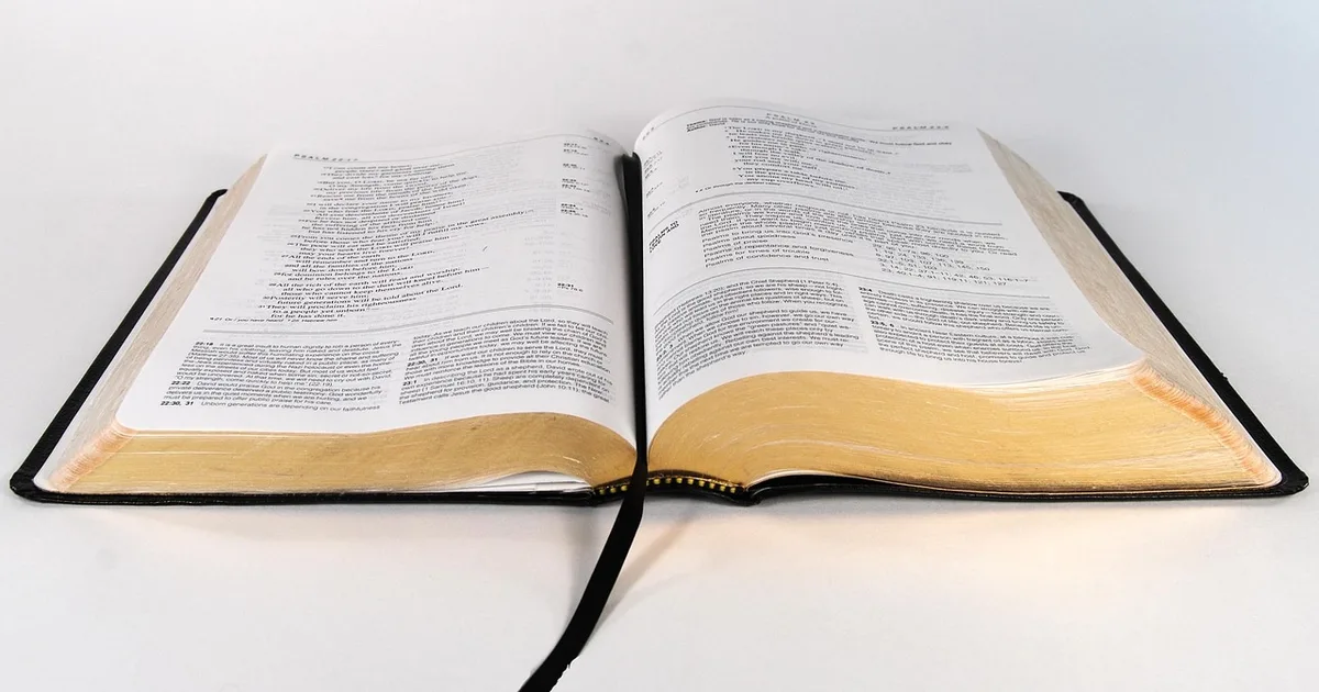 Evangelio y reflexión de hoy: Encuentra descanso en Jesús