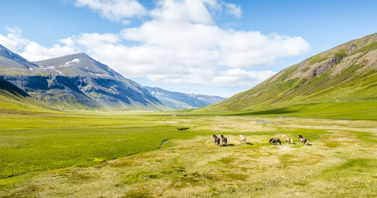 Psalm 23: Walking Through the Valley with the Good Shepherd