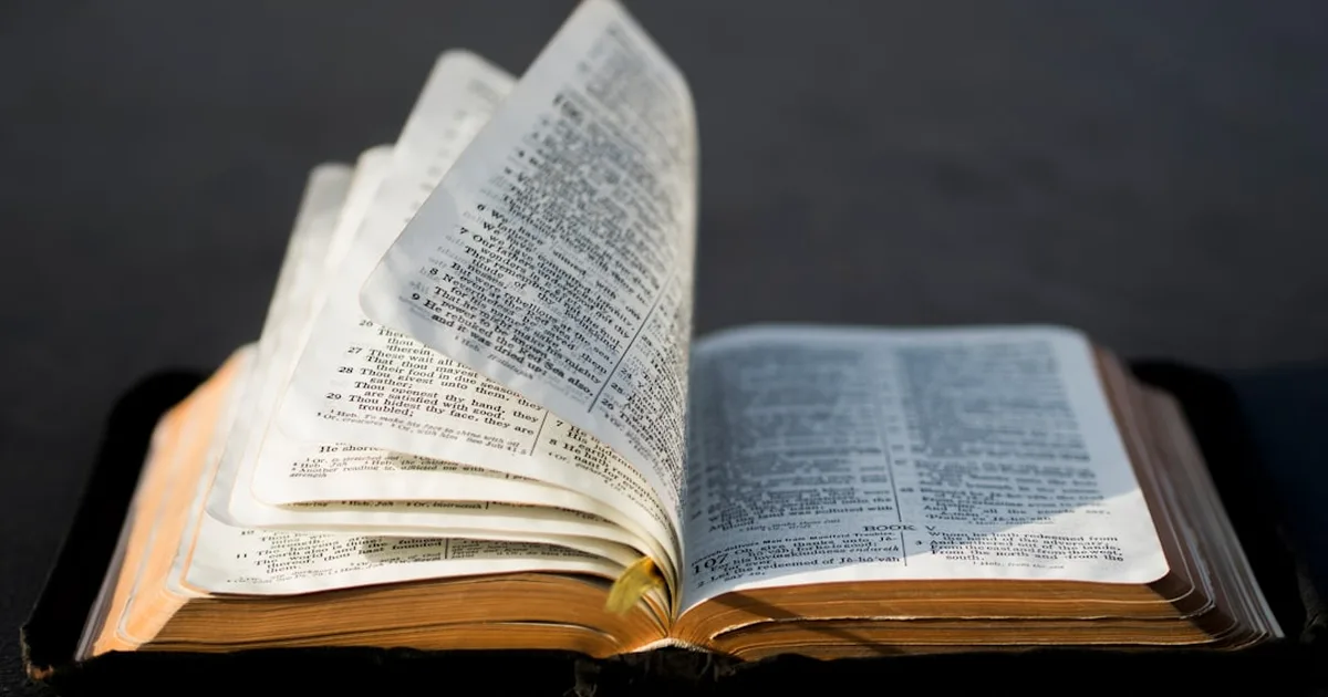 Gemeinsam die Einheit der Kirche gestalten: Gedanken zum gemeinsamen Weg der Gläubigen