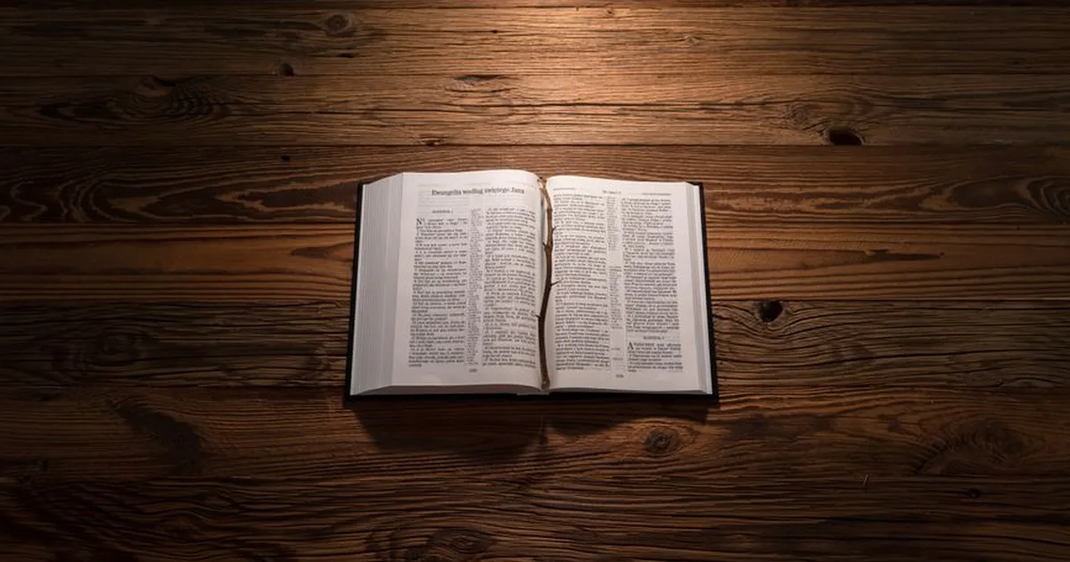 Finding Peace Through Bible Forgiveness: A Christian Guide
