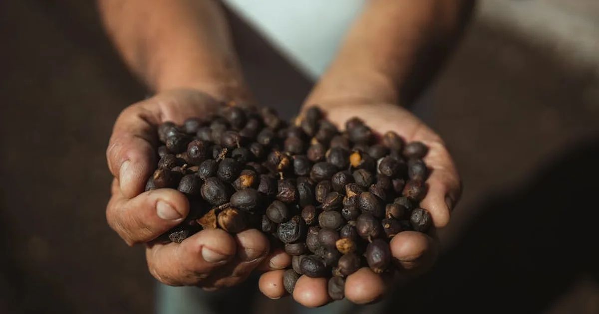 Compartiendo un Café, Construyendo Comunión: La Fe que Crece en lo Cotidiano