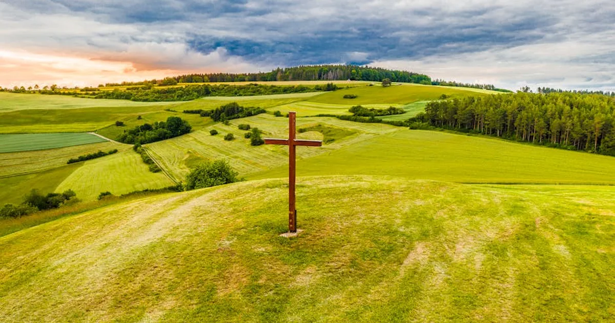 El gozo del sacrificio: cómo seguir a Cristo en un mundo que huye del dolor