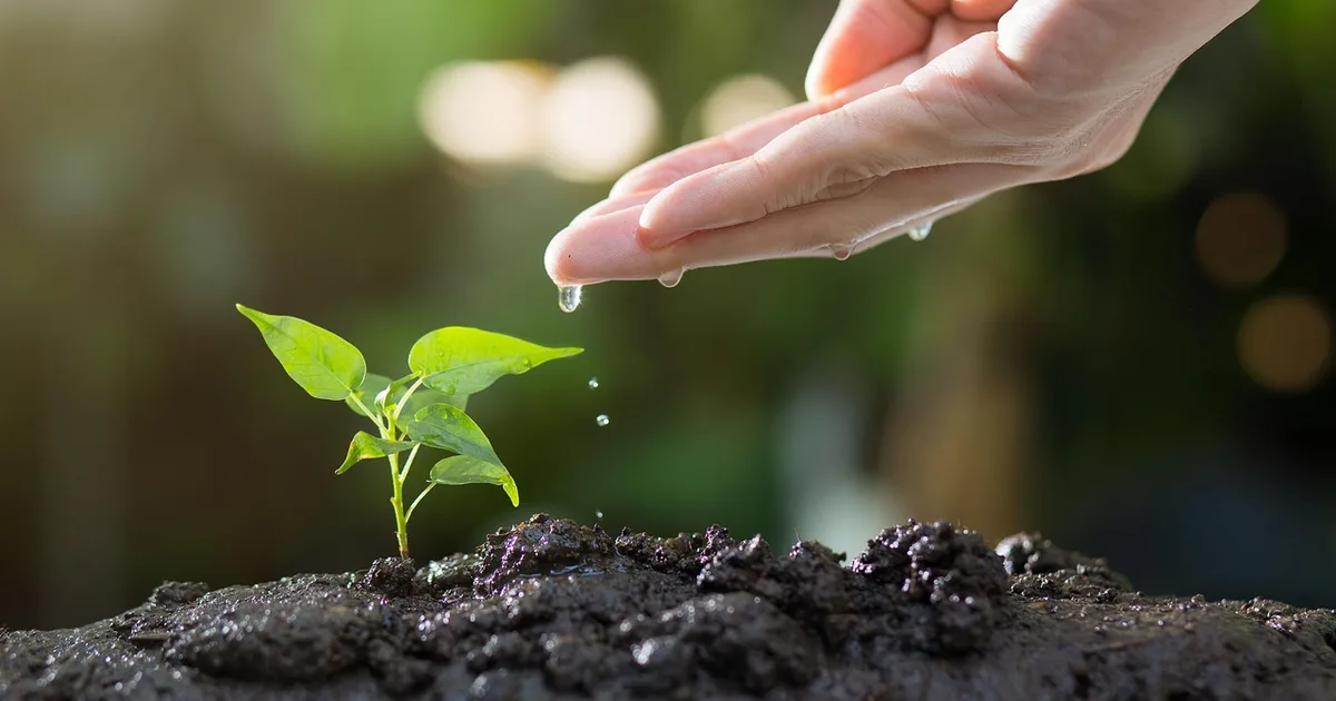 What Does the Bible Say About Euthanasia? A Compassionate Christian Perspective