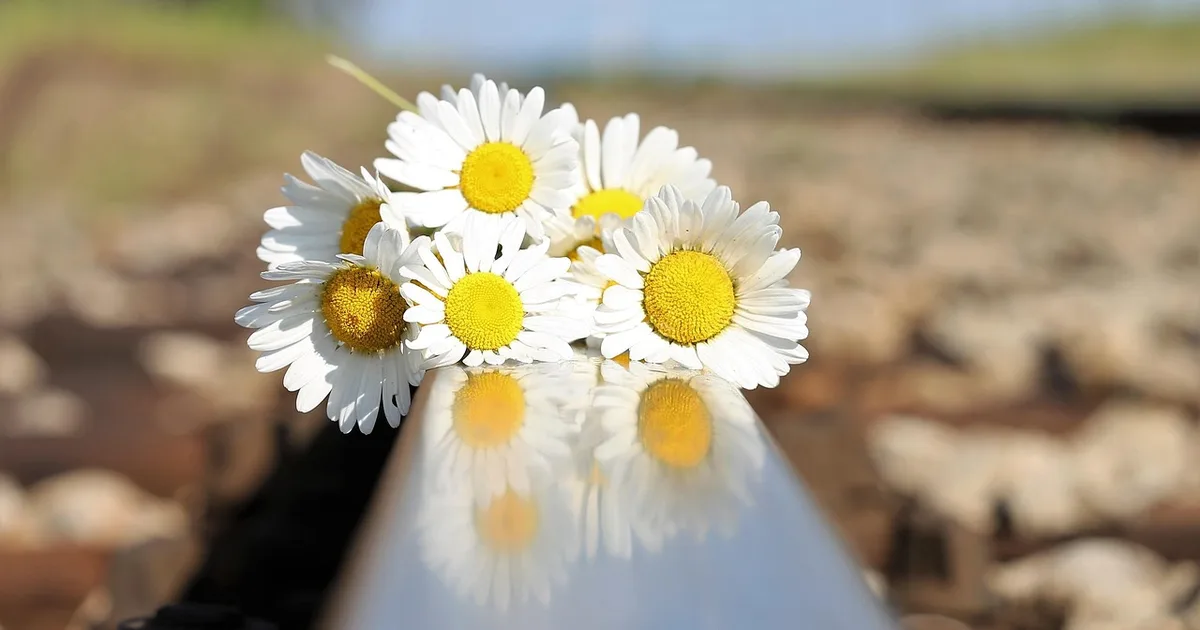 Beyond Catanzaro's Tragedy: Creating Christian Communities That Notice Hidden Pain