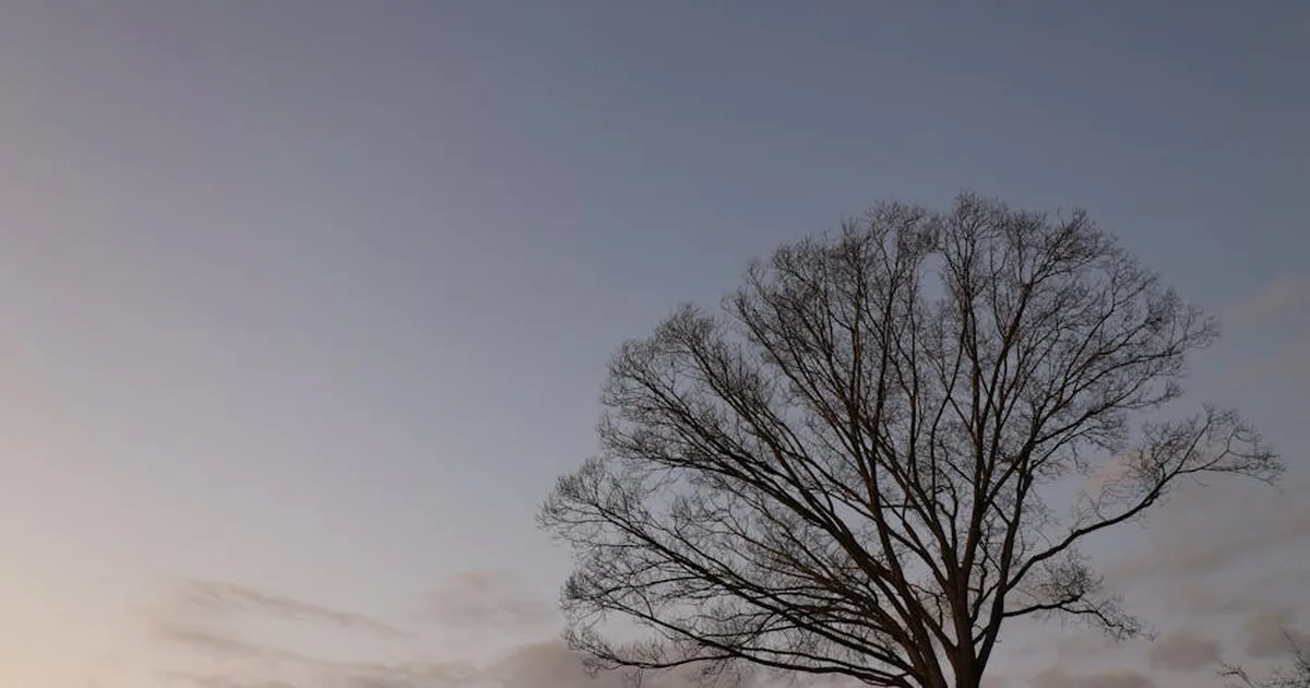 Finding God in Winter's Silence: Brother Lawrence's Timeless Lesson