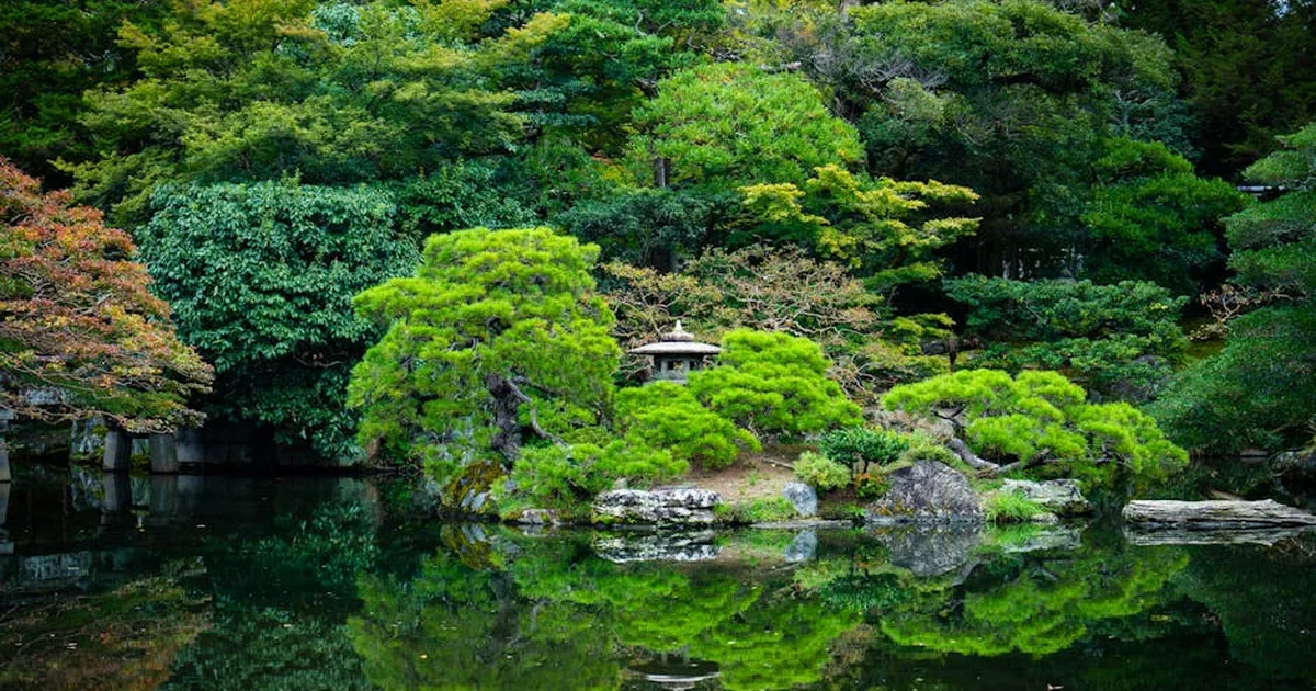 Finding God in the Quiet: What Japanese Gardens Teach Us About Peace and Prayer