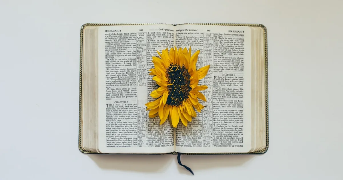 Cómo orar por un milagro: Una guía cristiana para una oración llena de fe