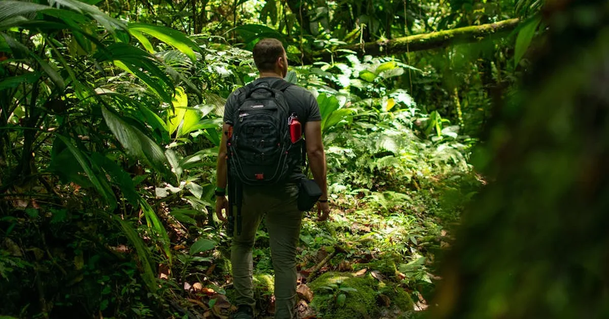 O Que Nos Mantém Firmes Quando a Vida Aperta? A Força da Esperança Eterna