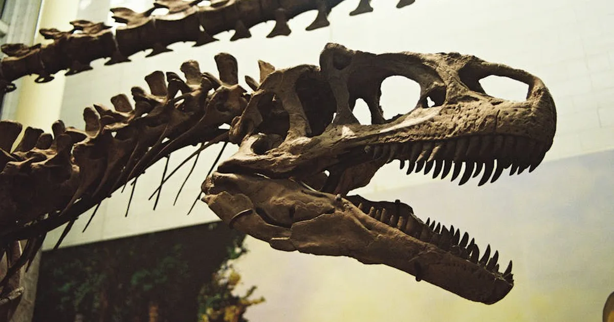 What Does the Bible Say About Dinosaurs? A Christian Guide