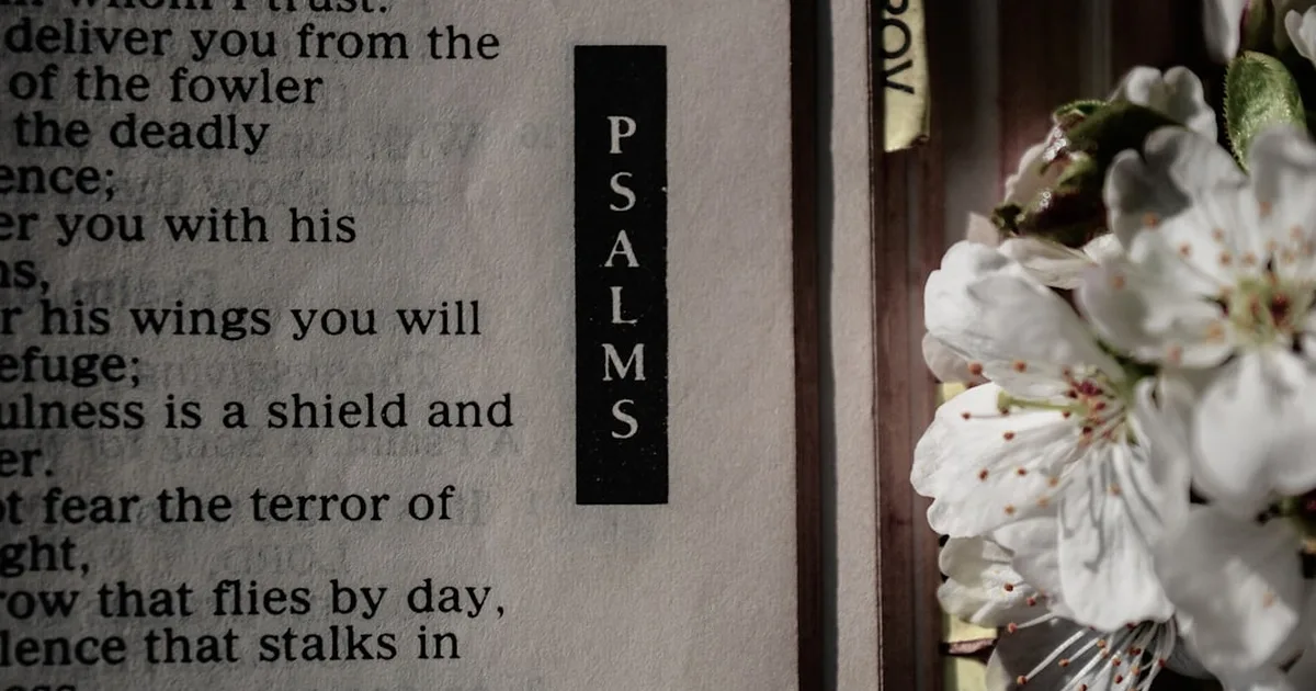 Salmo 91 Biblia Católica: Refugio y Protección Divina