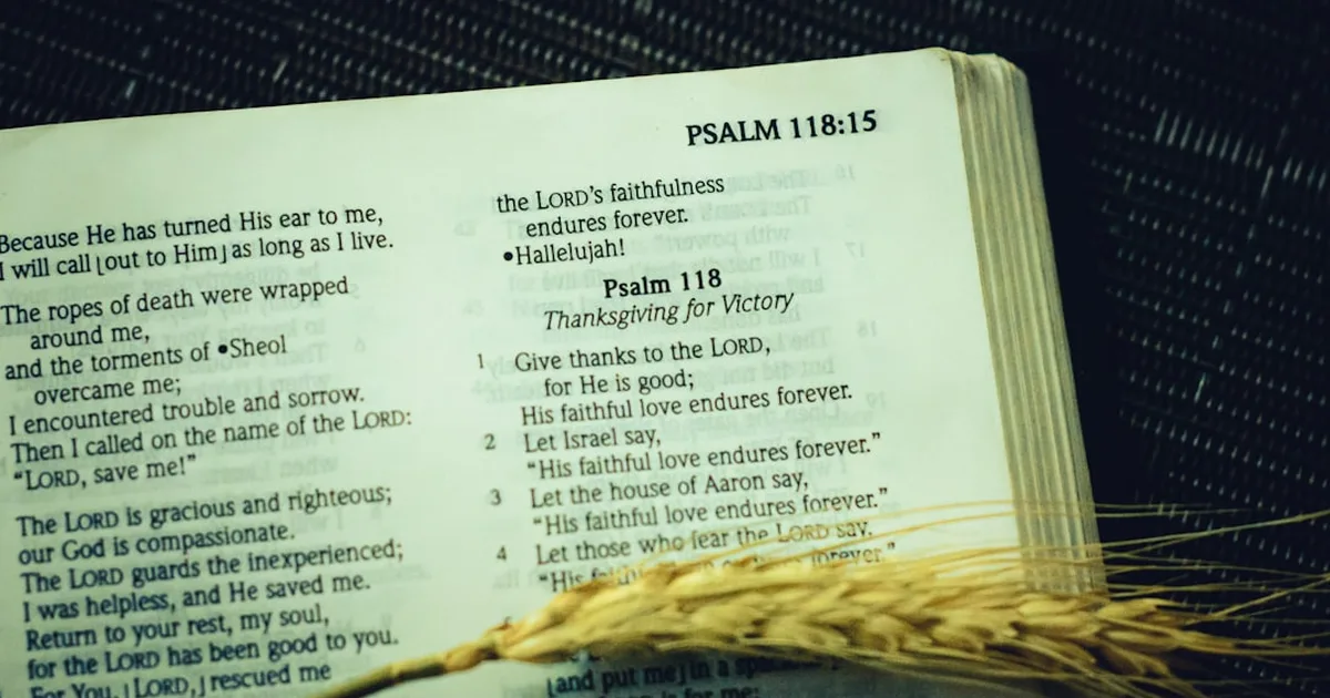 Salmo 91: O Abrigo Seguro nos Braços de Deus