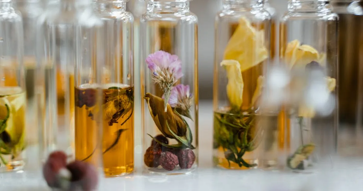 Un aroma del Cantar de los Cantares: cuando la Biblia se hace perfume