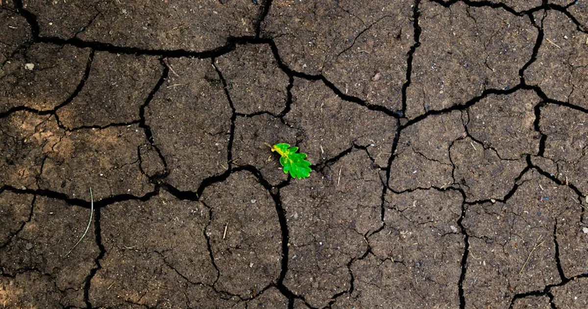 Finding Hope When the Future Looks Bleak: A Christian Response to Doomsday Predictions