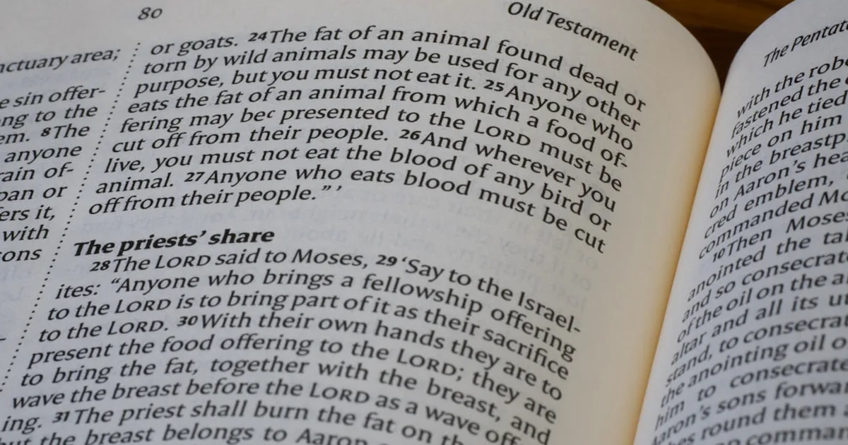 What Does the Bible Say About Animals? A Look at God's Love for His Creation