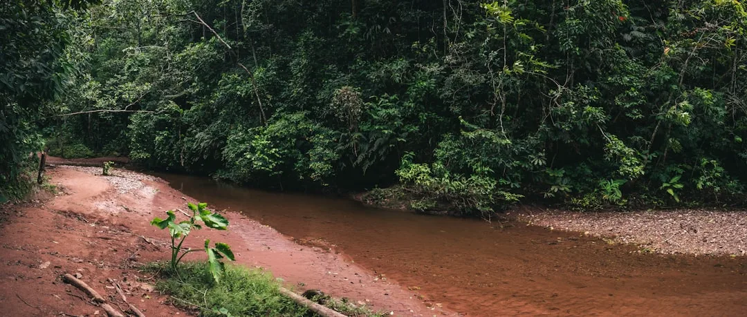 Wunder im Amazonas: Gemeinsames Gebet holt Frau zurück, wo die Medizin aufgegeben hatte