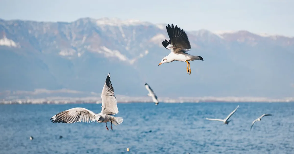 Soaring Beyond Earthly Limits: A Journey of Spiritual Growth