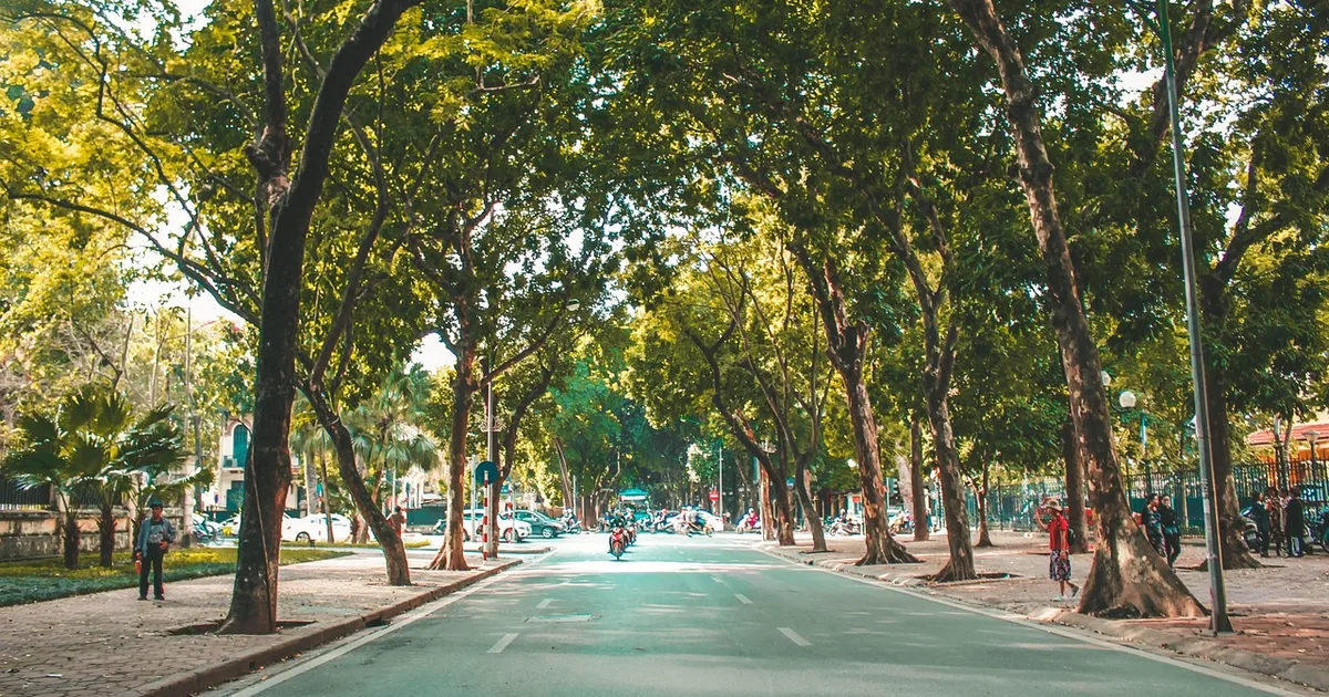 Pope Leo XIV's Dialogue with Vietnam: A Journey of Hope for the Global Church