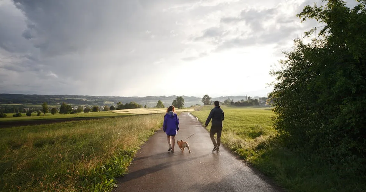 Synodality: Are We All on the Same Page for the Church's Journey?